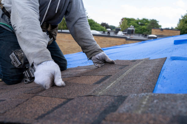 Roof Gutter Cleaning in Melody Hill, IN