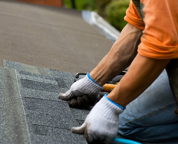 Best Roof Gutter Cleaning  in Melody Hill, IN